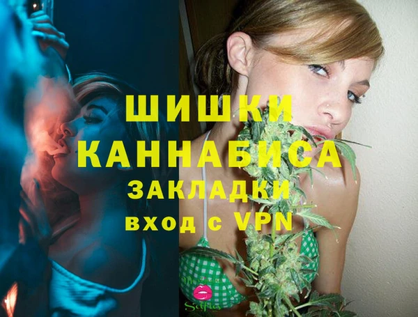 дживик Аркадак