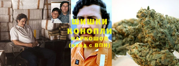 дживик Аркадак