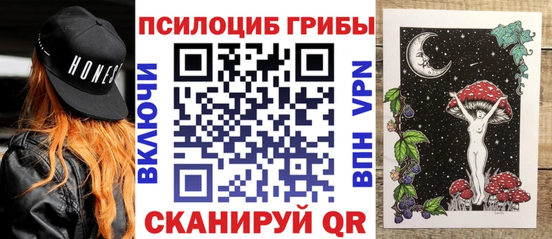 Галлюциногенные грибы Psilocybe  Купить закладки  Скопин 